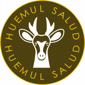 Logo Huemul Salud